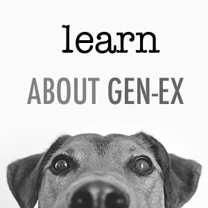 genex-grey